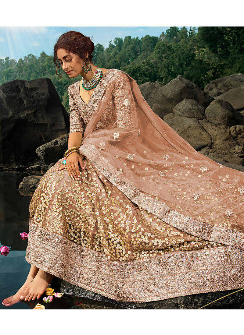 Dusty Brown and Gold Embroidered Net Lehenga