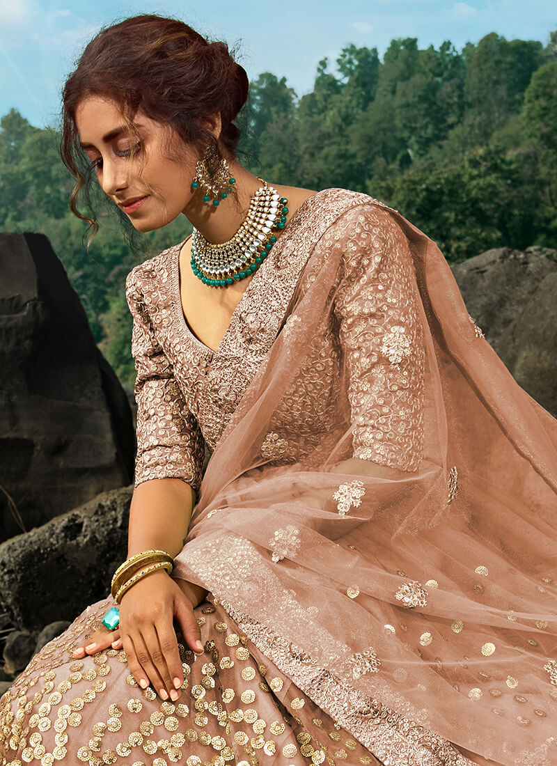 Dusty Brown and Gold Embroidered Net Lehenga